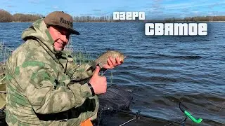 Рыбалка на озере Святое вблизи города Шатура. Как клюет рыба на прикормку Миненко ))