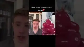 САМЫЕ НЕВЕРОЯТНЫЕ ВИДЕО ТИК ТОК   #shorts