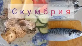 Скумбрия ең дәмді оңай рецепт #балық #рыба #рецепты