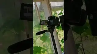 УЖЕ СКОРО НА КАНАЛЕ ГАЗЕЛИСТ52