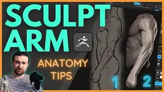 🦜Sculpting the Arm in ZBrush