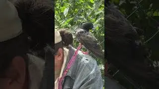 Друзі ніколи не зраджують