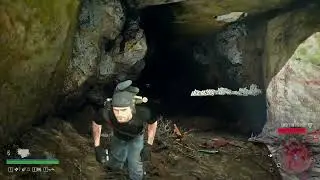 Proxy Falls Horde
