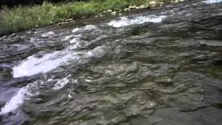 스카짓캐스팅  skagit rainbow