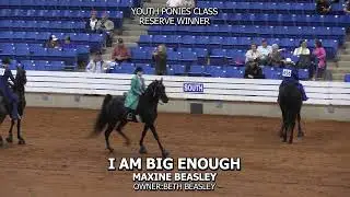 I AM BIG ENOUGH - FAST SPRING SHOWCASE 2023