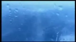 шторм на море