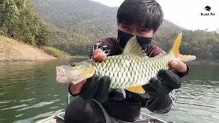 ตกปลากระสูบ