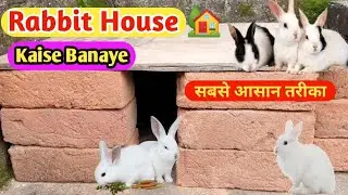 How To Make Rabbit House 🏡 | Rabbit House Kaise Banaye | 