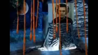 скелеты, кости,смерт,кладбище,черепа