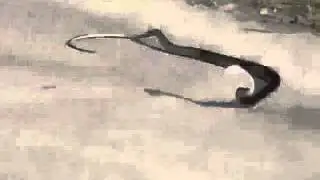 Лезгинка
