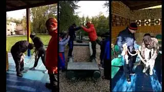 РУЗА