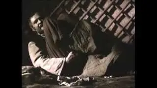 Копия видео ОЧАРОВАННЫЙ СТРАННИК, 1990