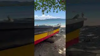 Shakin San Andres