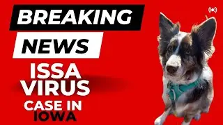Lassa Fever Claims Life in Iowa | News With A Tail-Wagging Twist