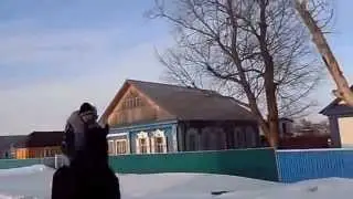 Самые жесткие топ-приколы.Январь 2015.Собака наездник,верхом на лошади.Dog rider.