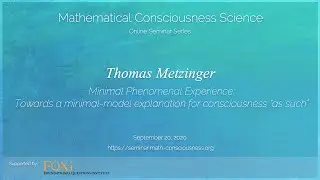 Minimal Phenomenal Experience (Thomas Metzinger)