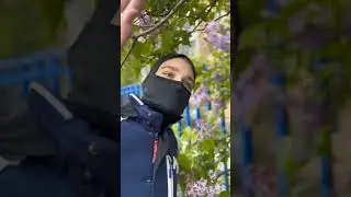 #MadBull
