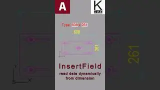 Data from Dimension dynamically - 
