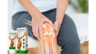 Сусталит Для Суставов Отзывы