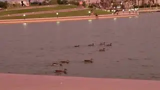 RIVERVIEW PARK MESA AZ