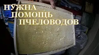 ПАКУЮ СУШЬ // ПЕРВЫЕ ПОТЕРИ