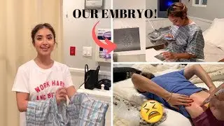 EMBRYO TRANSFER DAY!! + Progesterone in Oil Injection Experience | 