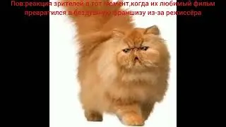 МОЙ СБОРНИК С МЕМОМ 