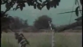 Авария полицейского вертолета