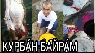 КУРБА́Н-БАЙРА́МЕ 2019 Екатеринбург жегодный мусульманский праздник жертвоприношения, санбой тв Екб