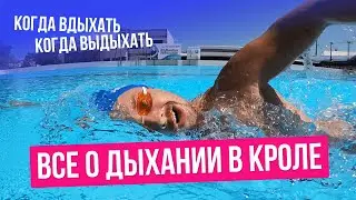 Как правильно дышать в кроле ТЕХНИКА + ОШИБКИ