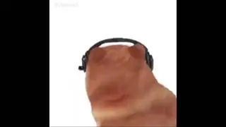 Cheems gamer :v