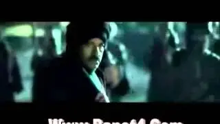 شمس الانصاري صدى البلد