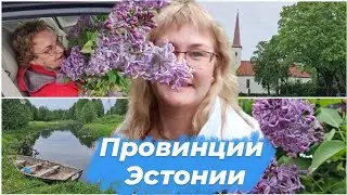 Эстония влог.Жизнь за городом.В город за продуктами.Цены в провинции.Деревня в Эстонии.Алайыэ