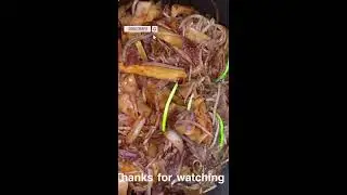 QUICKIE COOKING | STIR FRY BEEF FLAT RICE NOODLES (HO FUN) 