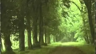 Дождь, дождь, дождь