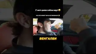 ВЕНГАЛБИ В СЛЕЗАХ СМОТРИТ НА КОТЁНКА🥹 