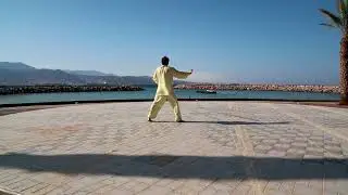 Chen style taijiquan xinjia yi lu second part