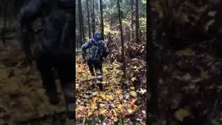 74 е по белке (2/4)