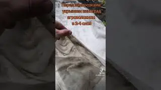 Борьба с заморозками на винограднике. #виноград #заморозки #grape