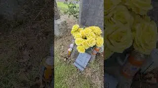 He liked his Irn Bru #death #gravesite #cemetery ##gravestone #cemeterylovers