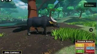 Mosaic Survival and Into the Jungle: Buffalo Remodel and New Map!