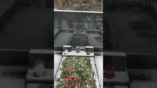 15 декабря 2019 г.