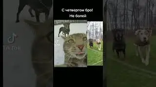 С четвергом...