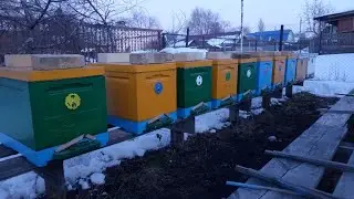 Конец зимовки.