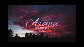AROMA (Lyrics Video) - Sidhu Moose Wala | The Kidd | Moosetape | Full Song