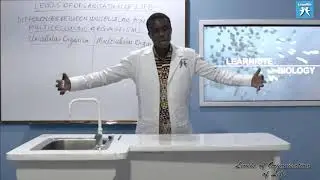 LRLO 17   Differences between Unicellular and Multicellular Organisms