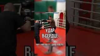 Удар в сердце #бокс #training #школабокса #спорт #мма #fitness #boxing #boxingtraining #удар #двойка