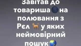 Охота с лайками