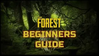 THE FOREST BEGINNERS TIPS part 1.5: BEGINNERS GUIDE FOR CRAFTING, HARVESTING, AND SURVIVING