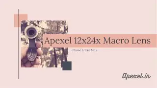 Amazing Macro Photography - Apexel 12x/24x Mobile Macro Lens